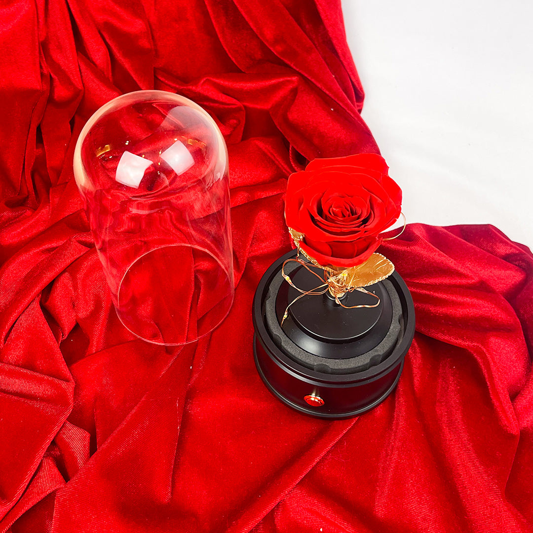 Rosa con Bocina y Luces