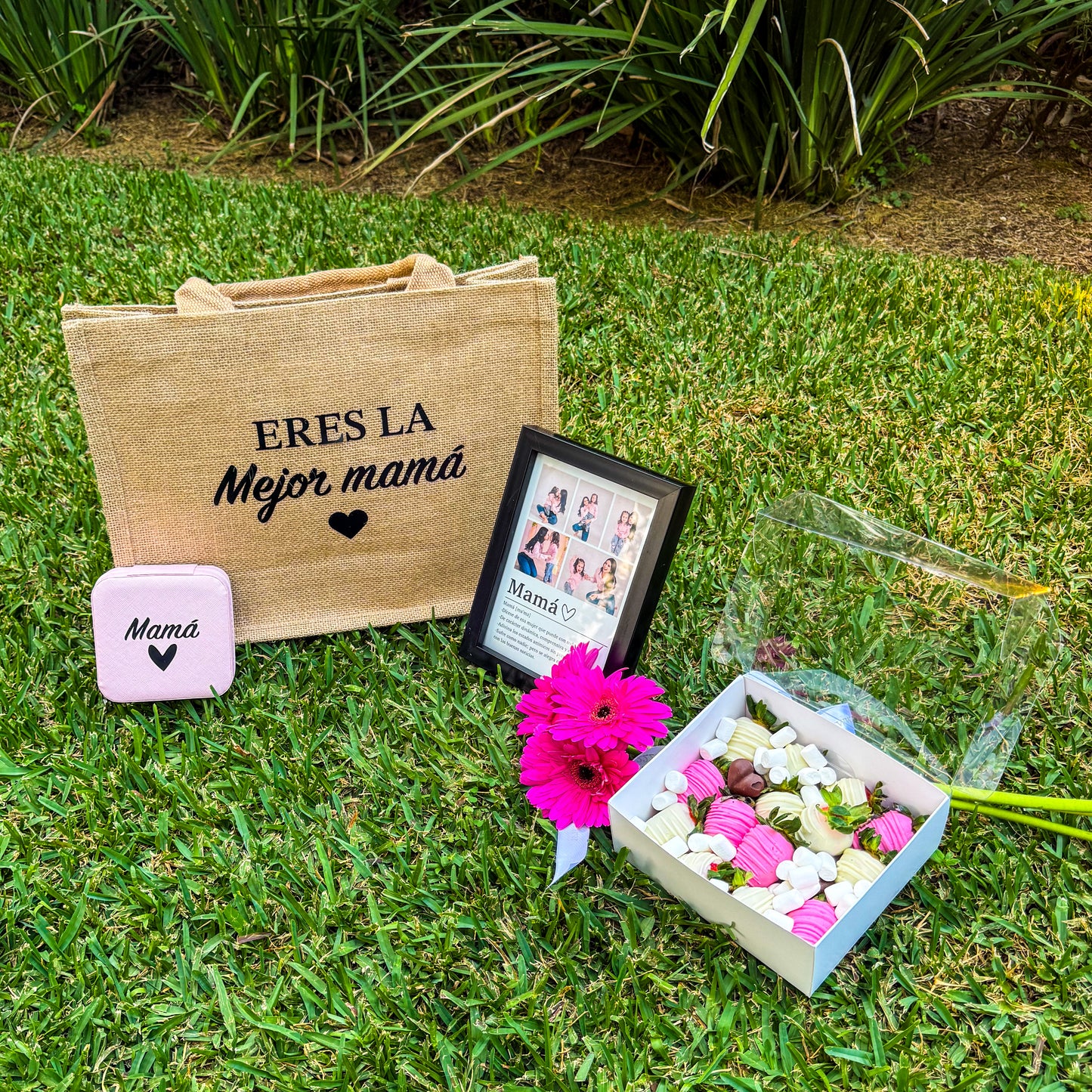 Bolsa con Joyero
