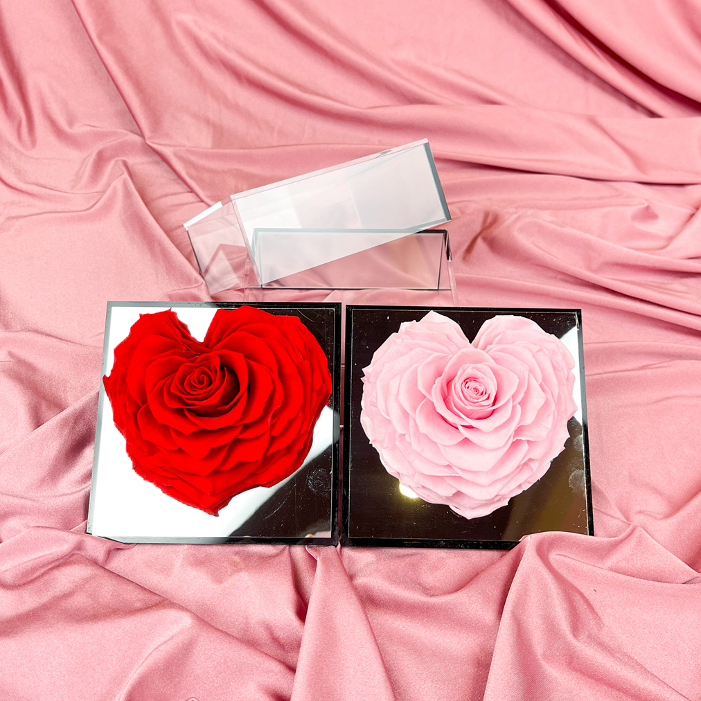 Rosa en caja espejo