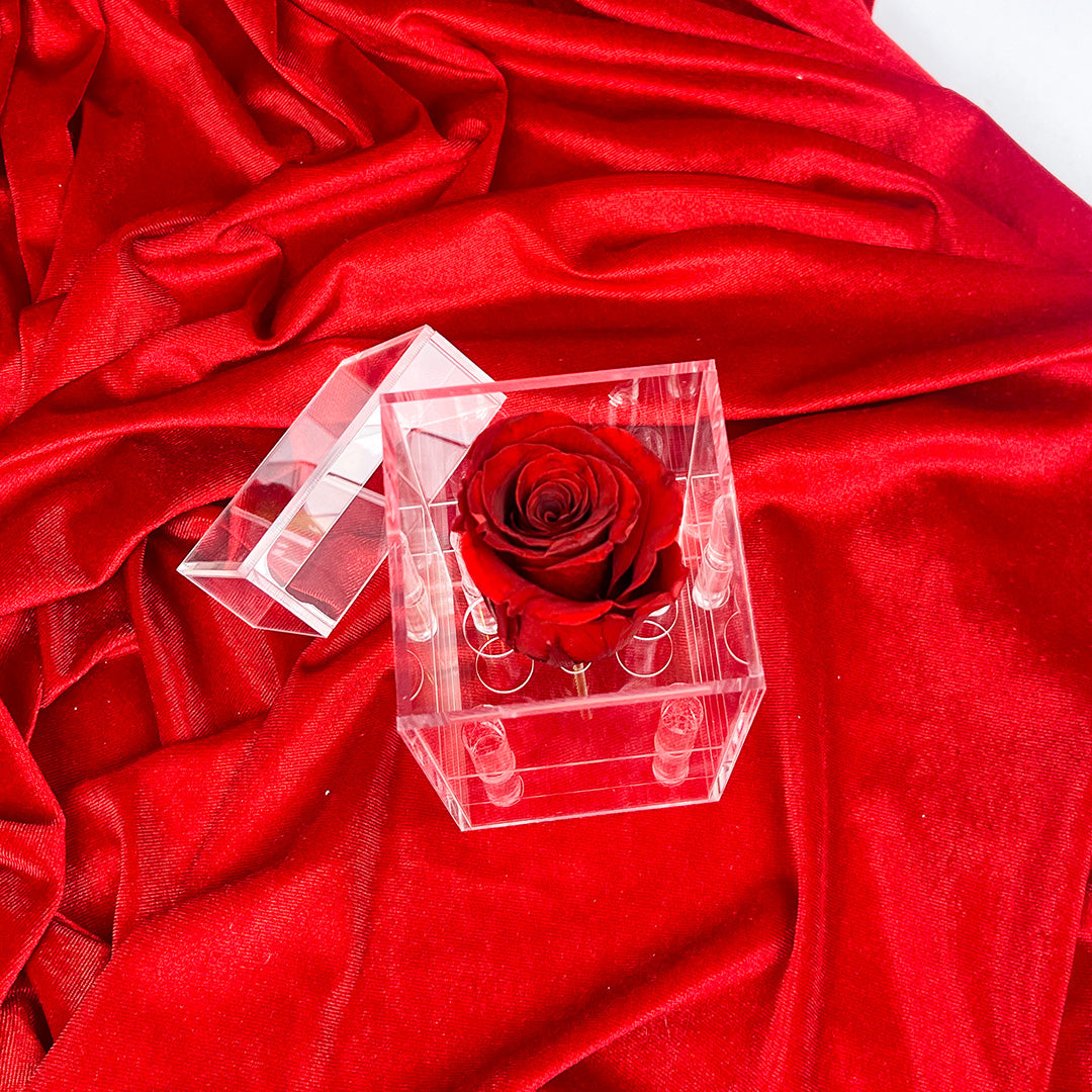 Caja de 1 rosa