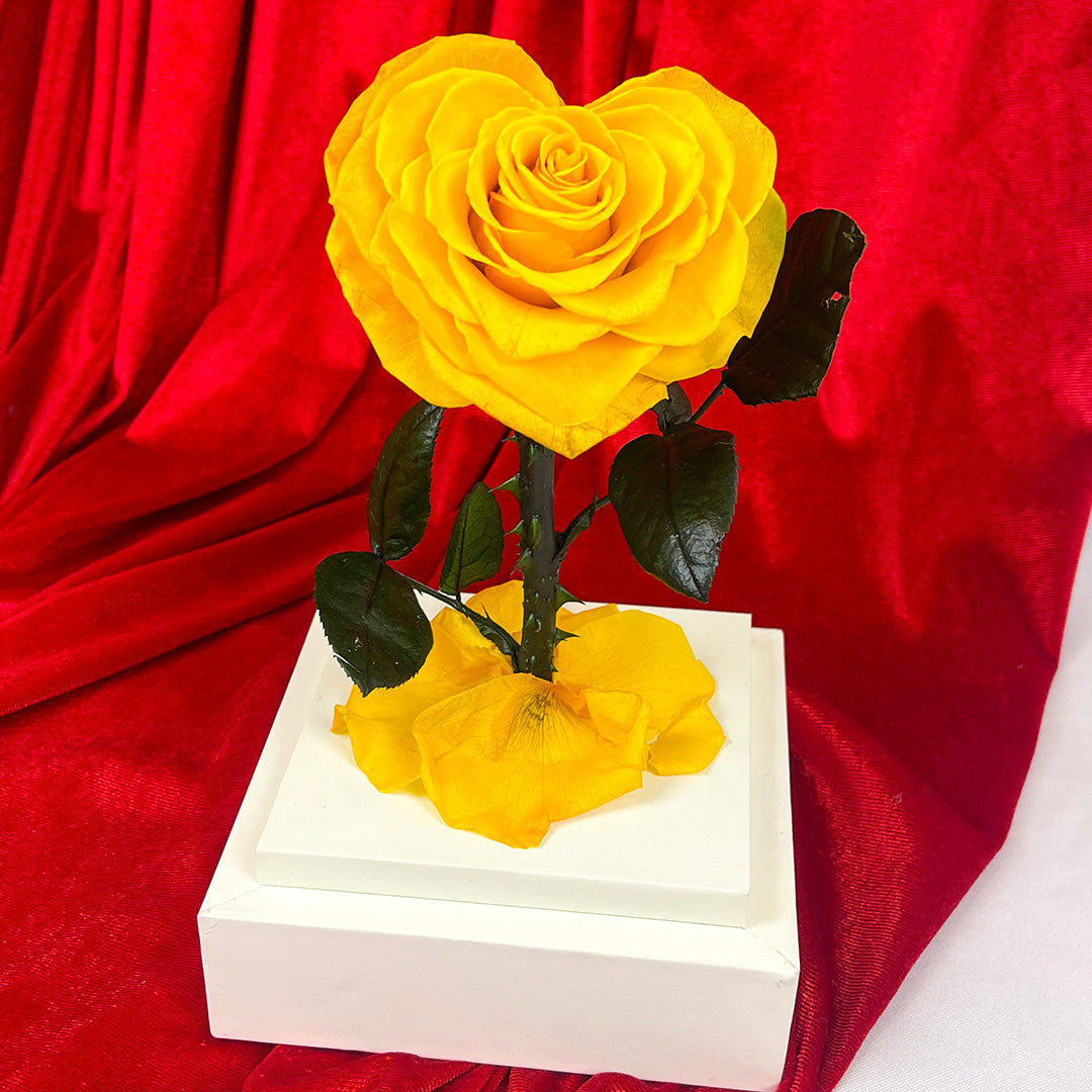 Domo cuadrado Amarillo