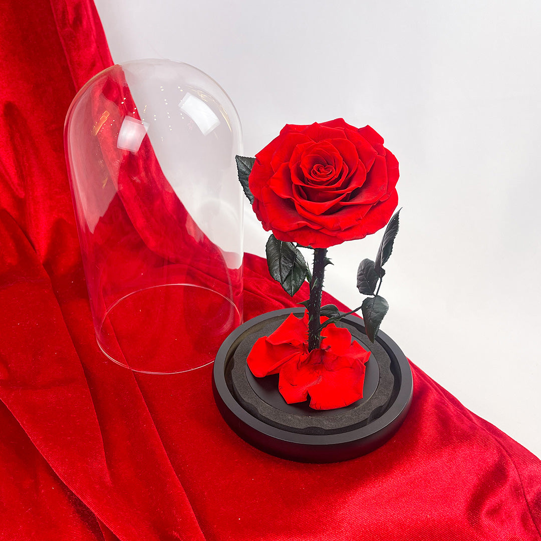 Mini Cúpula Roja