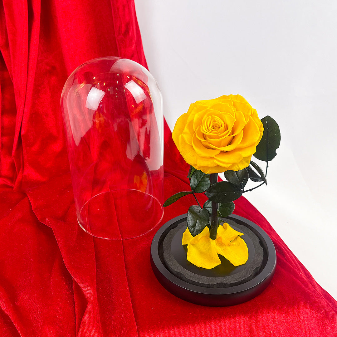 Mini Cúpula Amarilla