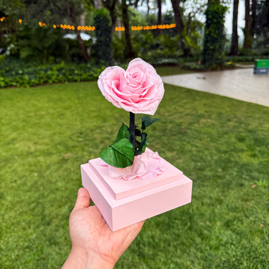 Rosa corazón