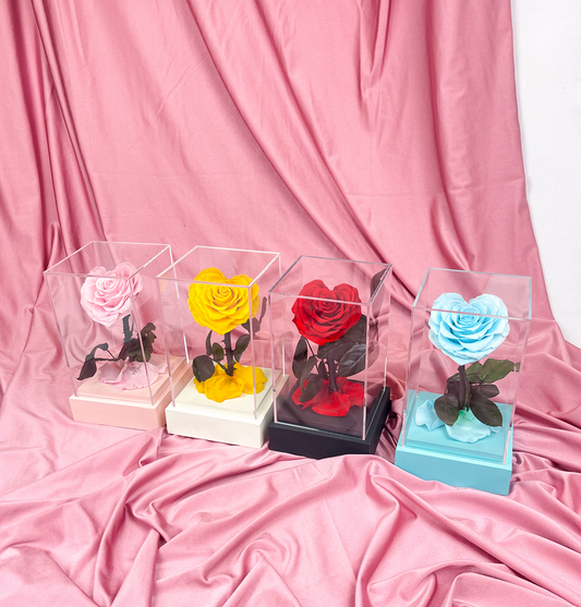 Rosas domo cuadrado