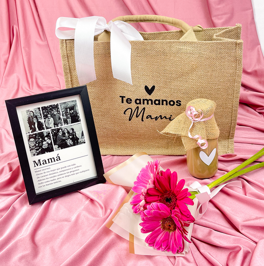 Bag & frame