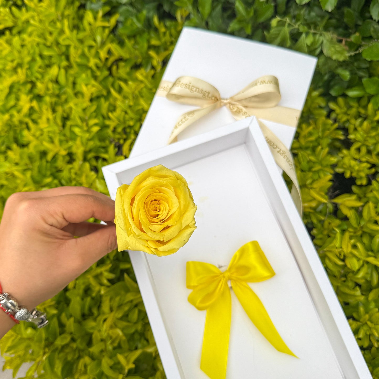 Rosa tallo dorado