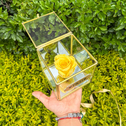 Mini cristal