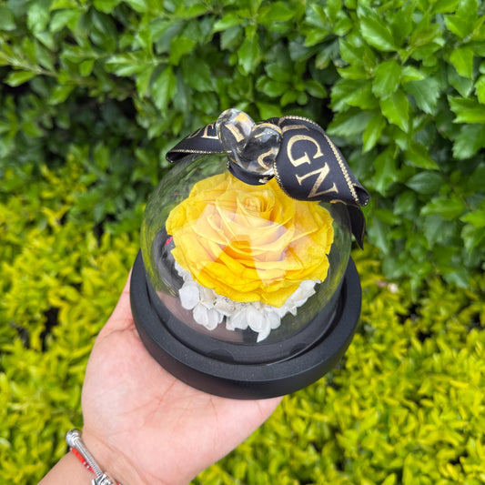 Mini esfera