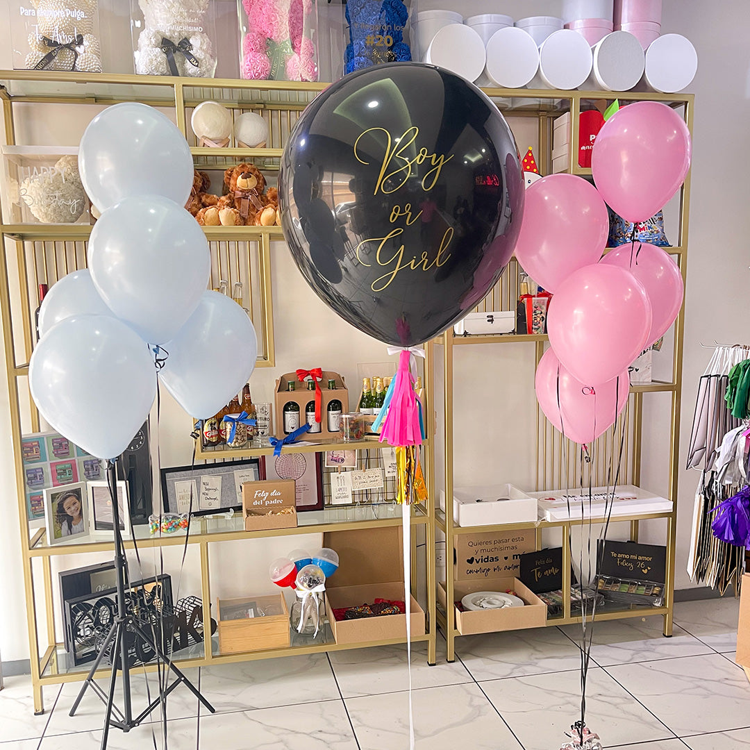Gender Reveal