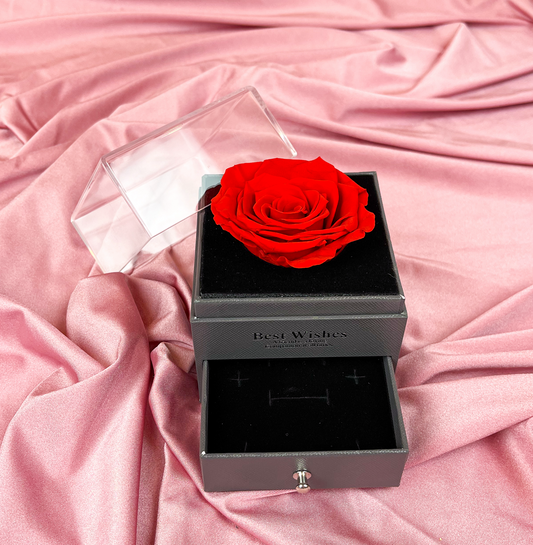 Rosa roja en caja